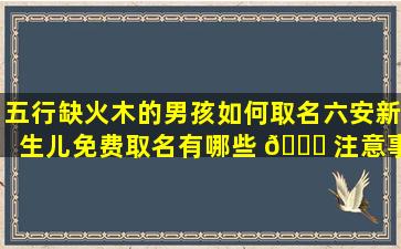 五行缺火木的男孩如何取名六安新生儿免费取名有哪些 🐈 注意事项